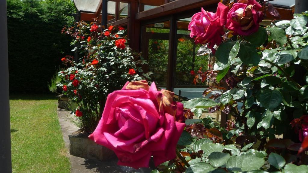 Logis La Rose Des Vents Volvic Exterior foto